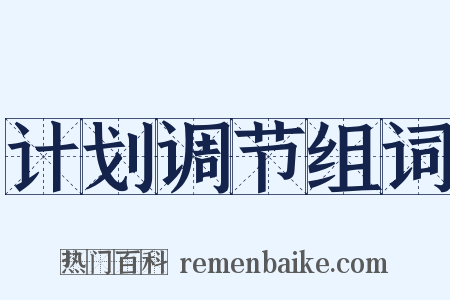 计划调节组词是什么意思的图片